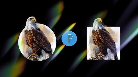 How to clip mask an image in Pixellab