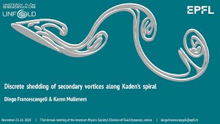 Discrete shedding of secondary vortices along Kaden's spiral - Diego Francescangeli