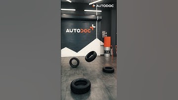 The marvellous mechanic and the tyre | AUTODOC #shorts