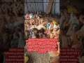 dj afro, #burundi chicken for sale DJ Lenny,dj afro latest , action movies,dj afro latest action