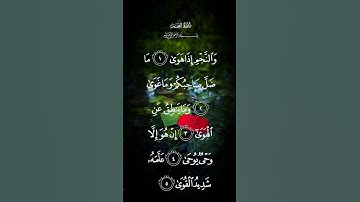 سورة النجم والنجم إذا هوى ماضل صاحبك وماغوى وماينفع عن الهوى الاية ١ إلى الاية ٥