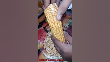 how you can easily peel the corn in 1 minute