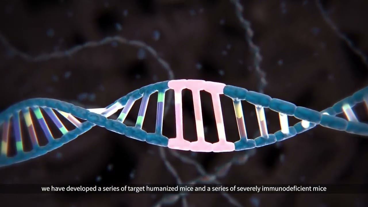 Biocytogen Culture Video