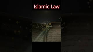 Islamic Law | Shaiyyah | Quran and Hadith #islamicteachings