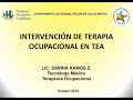 Intervención de terapia Ocupacional en TEA