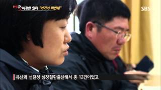 [SBS 현장21] 131126 #8(1)