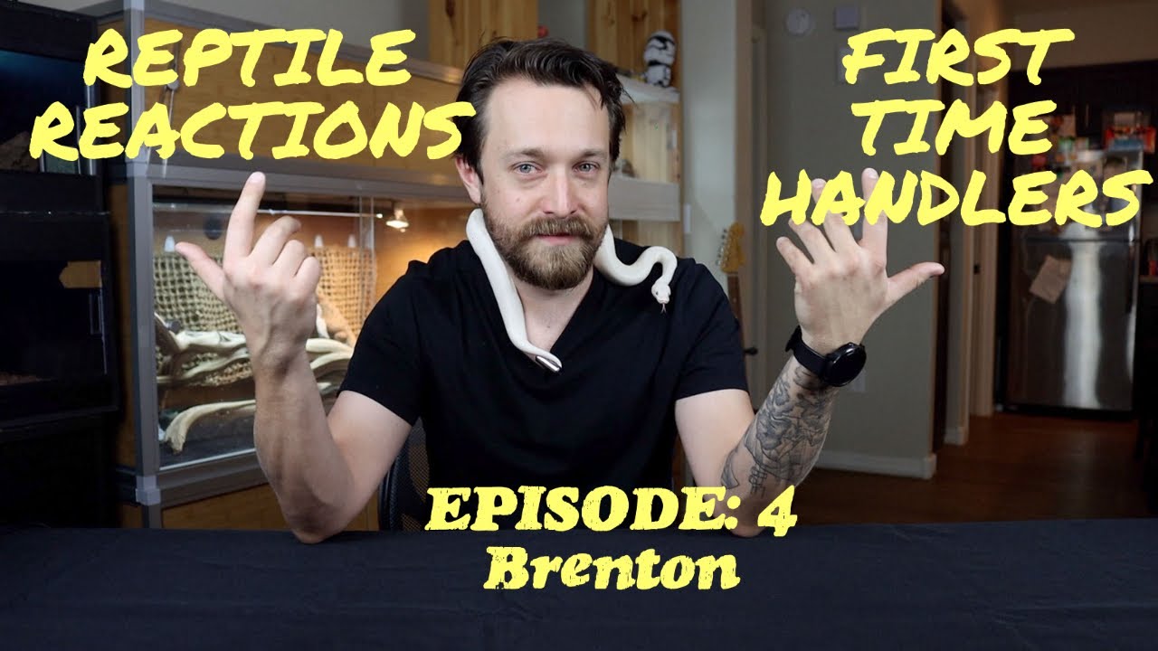 Reptile Reactions Episode 4: Reptile Phobia cured! Sort of! Reactions to snakes and lizards