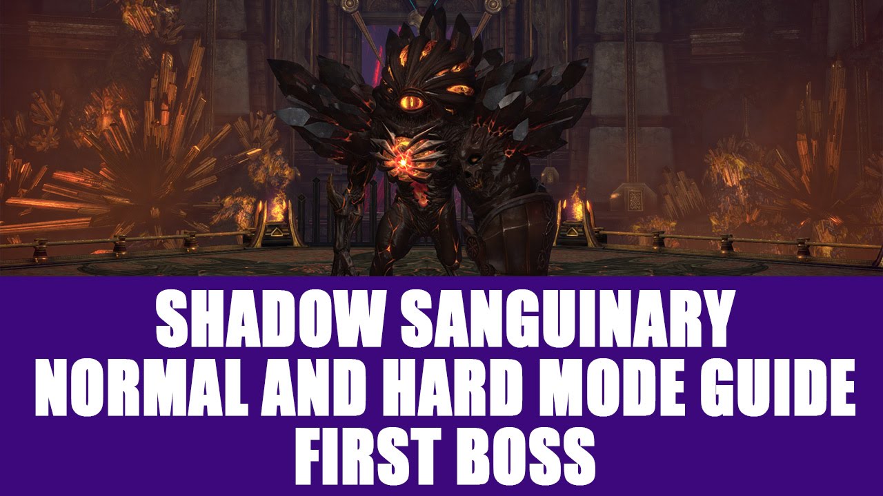 TERA - Shadow Sanguinary Guide - First Boss