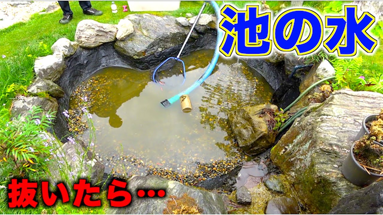 釣りよかハウスの池の水ほぼ全部抜いてみたら・・・！？