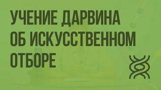 Учение Дарвина об искусственном отборе. Видеоурок по биологии 11 класс