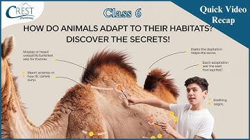 Exploring Habitats and Adaptations | CREST Olympiad Guide for Kids