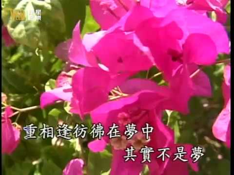 蔡琴 - 重相逢 (蔡琴老歌卡拉OK)