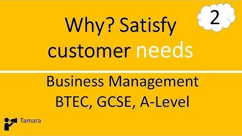 Satisfying Customers Needs - Business management Level 3