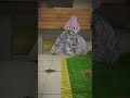 @loonsvr