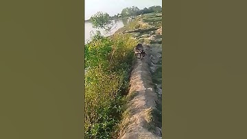 #egzonibrahimi #سورة_الإخلاص #instagrammusic #nature #unf #inspirationalquotes #mizanurrahmanazhari