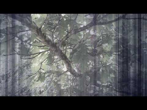 Dom Duff "Krenañ Gant An Anken"