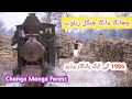 Steam engine of Changa Manga Forestry Railway in Pakistan ( 1986 ) old memories