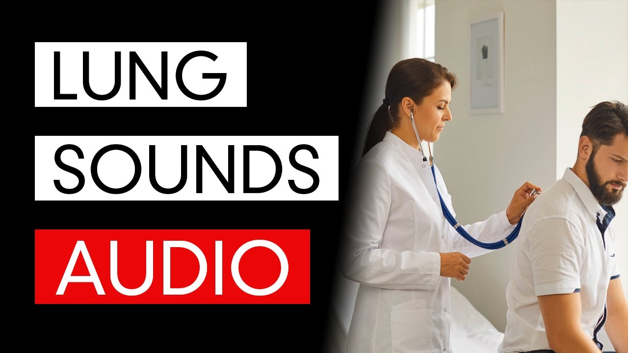 Lung Sounds Audio (COVID19 Pneumonia Included) YouTube