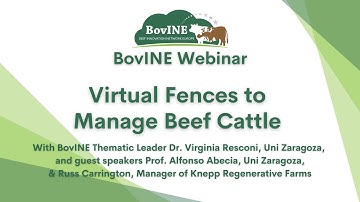BovINE Webinar: Virtual Fences to Manage Beef Cattle