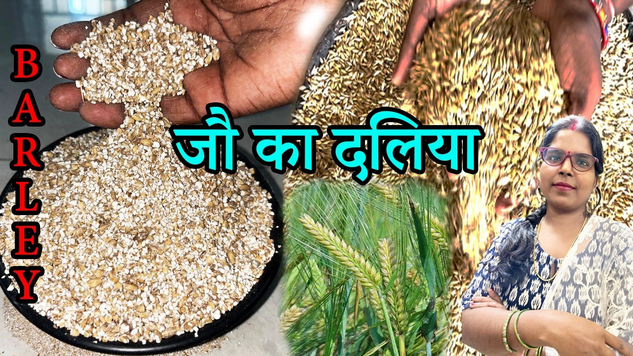 जौ का दलिया बनाने का एकदम सही तरीका। Homemade Barley recipe, Daliya ...