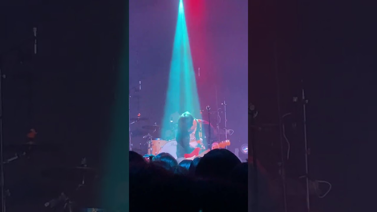 20260222 극동아시아타이거즈 - 고양이, 선인장 그리고… (@금사락_극동아시아타이거즈 지역투어: 호랑이 흔적을 찾아서)