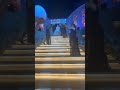 طلو عينيها وبيا حواليها #trending #اكسبلور #wedding #party #bride #show #shorts #love #girl #4k #fy