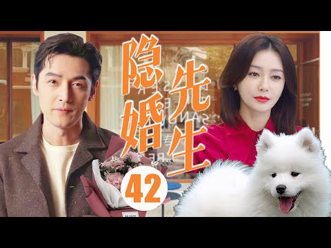 【胡歌电视剧】隐婚先生 Mr. Hidden Marriage 42 |胡歌回国偶遇真命天女秦岚，地下恋情隐藏婚姻，秘密恋爱好刺激💘秦岚（《延禧攻略》）&明道（《王子变青蛙》）