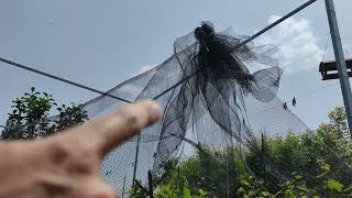 ANTI-HAIL NET installation // Hail protective netting