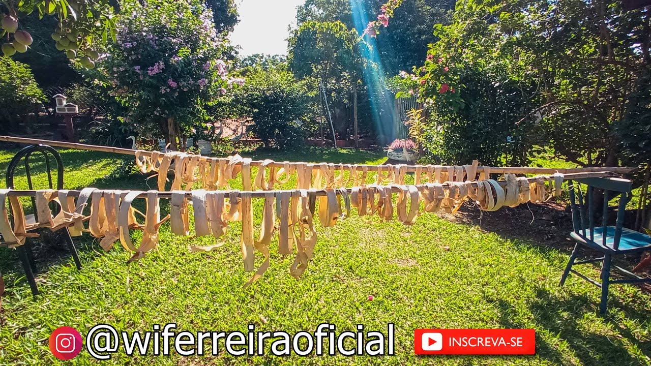 Como eu tiro as fibras do tronco da bananeira para fazer meus artesanatos! (Passo a passo completo!)