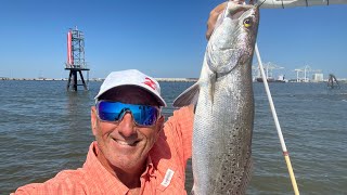 Fat Mississippi Speckled Trout love Live Croaker