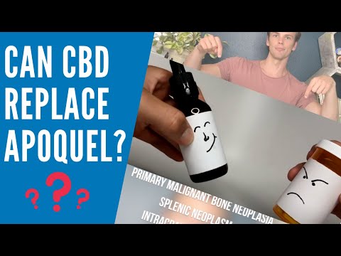 long term use of apoquel