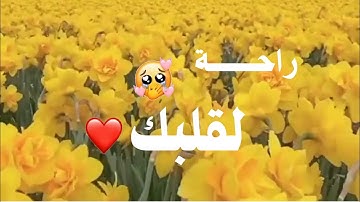 قرآن كريم📖 بصوت😴 وديع اليمني 😍//حالات💓 واتس اب دينيه 📱/راحة لقلبك 💕||ارح مسمعك🎧