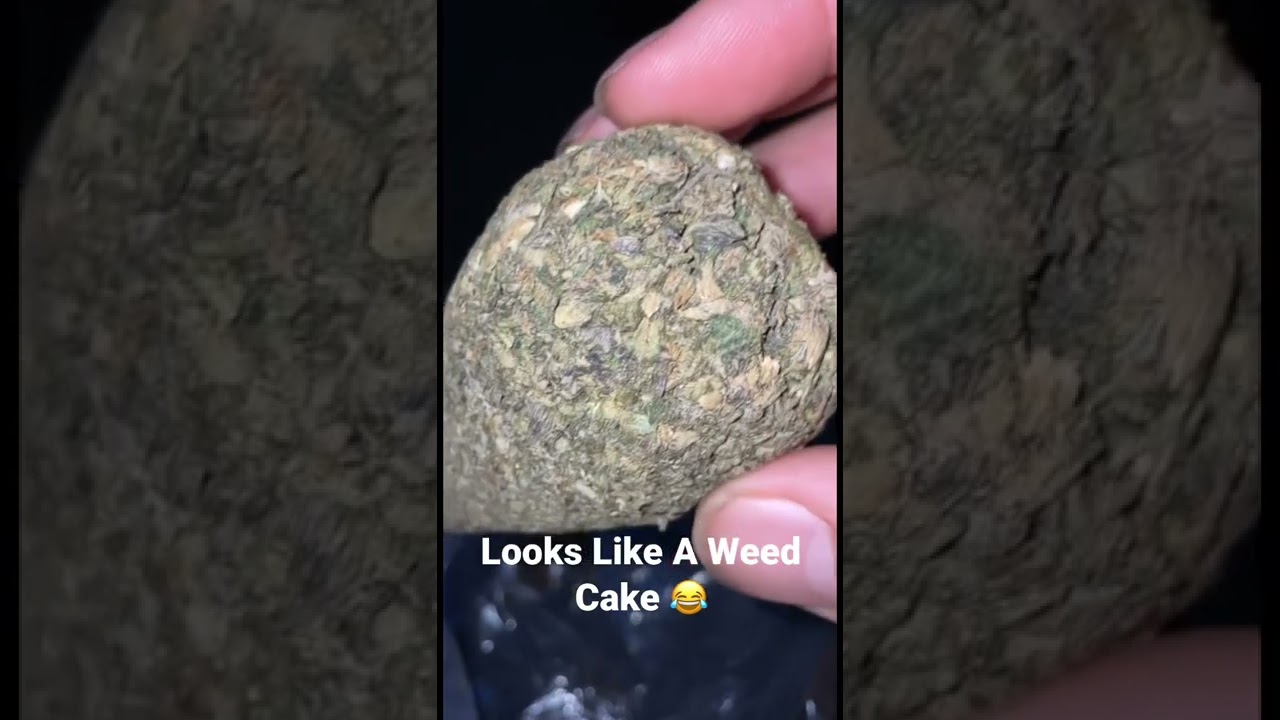 My weed cake ‼️ [Subscribe]