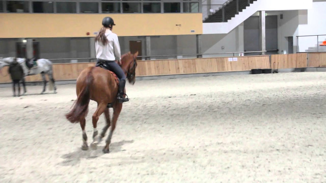 Chenaro trening skokowy 28 11 14