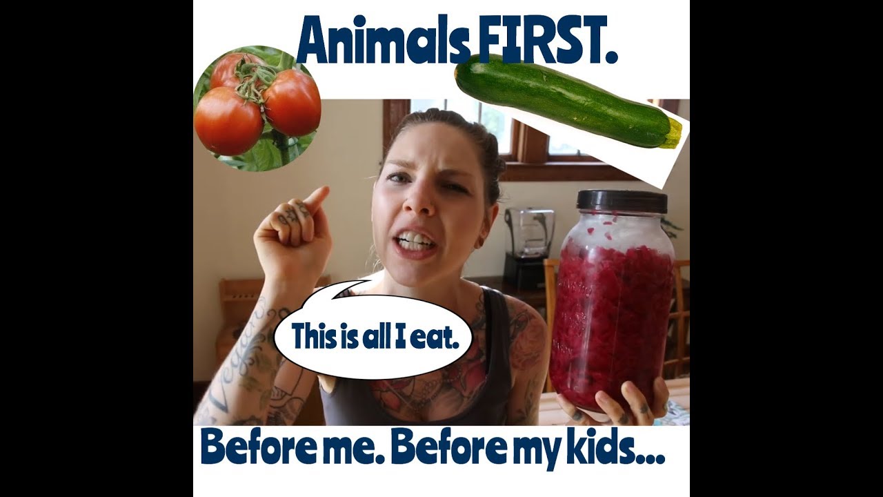 The Fairly local vegan is very malnourished and fairly aware