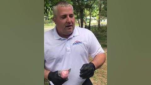 Sentricon above ground installation