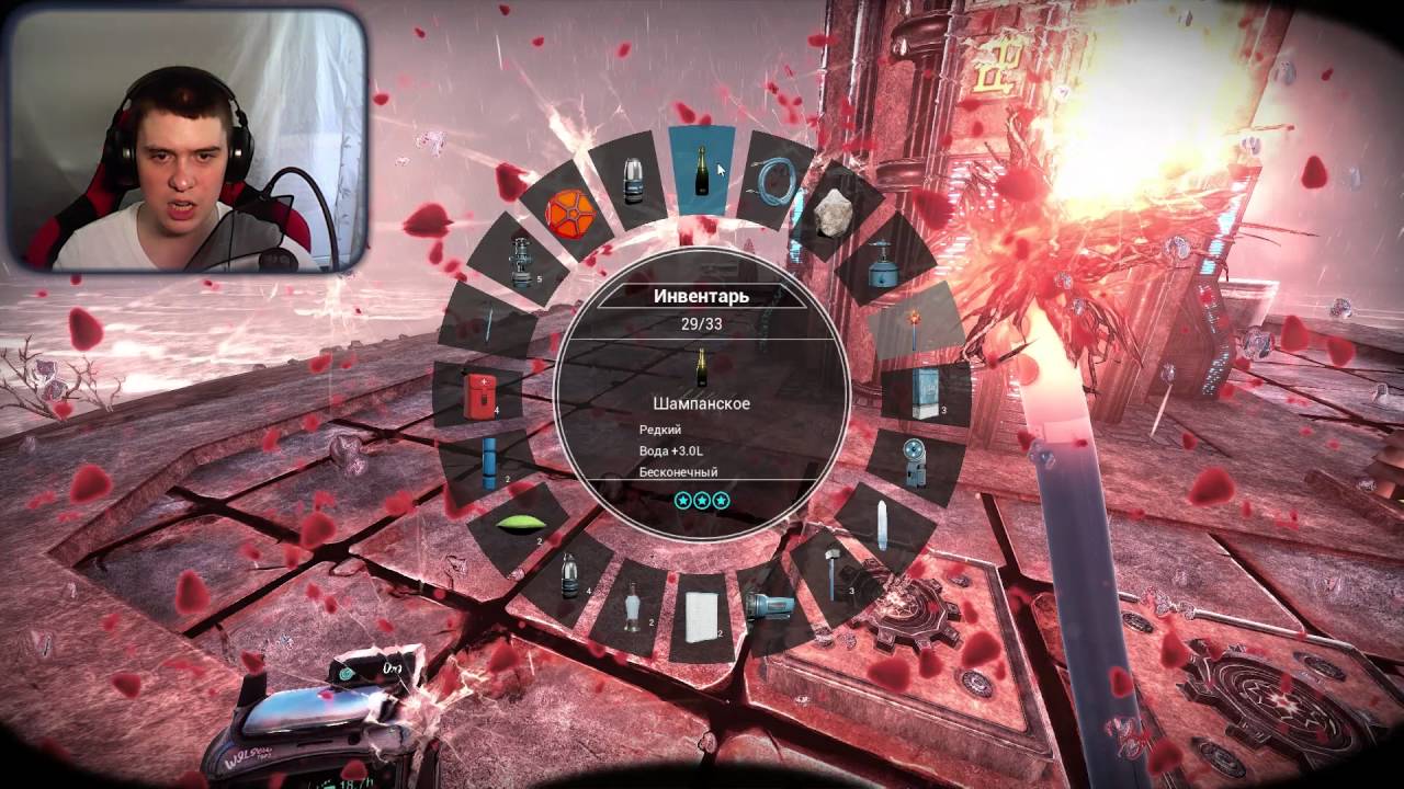 Проект выжить карины кугель