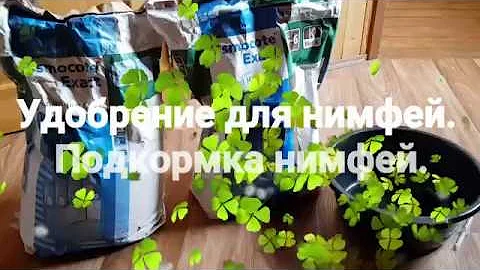 Удобрение для нимфей, кувшинок и водных растений. Подкормка нимфей, кувшинок. Уход за нимфеями
