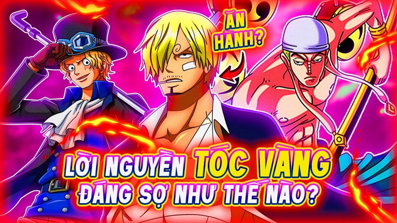 One Piece Bước Vào Arc Elbaf Những Biến Động Lớn Đang Chờ Đợi