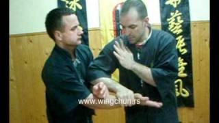 Wing Chun Basic Chisao Sifu Predrag Koviljac