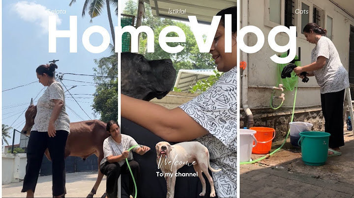 Home Vlog | Sowbhagya Venkitesh