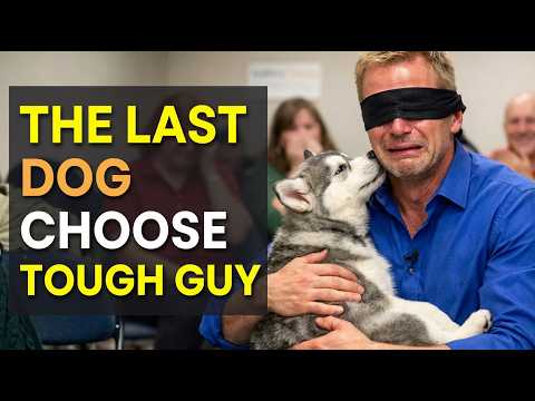 When No Dog Wants to Choose Anyone... 😭 But This One Moment Breaks Your Heart ❤️🐶