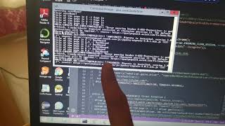 Selenium Headless issue
