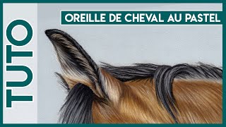 Tuto dessin, dessiner une oreille de cheval au pastel sec screenshot 3