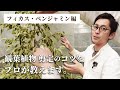 【観葉植物のプロが教える】フィカス・ベンジャミン 剪定のコツ！