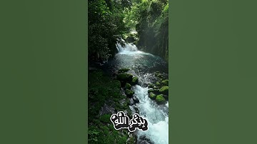 سورة الرعد - الآية 28 #المصحف #راحة_نفسية #quran