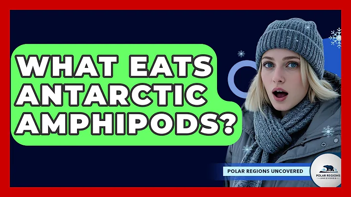 What Eats Antarctic Amphipods? - Polar Regions Uncovered