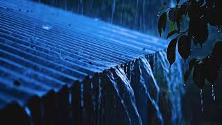 Midnight Drizzle Dreams: Slow ASMR Rain Sounds for Relaxing the Mind Relaxing Rain Ambience