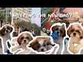 meeting the new baby! | cait to the lin