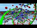 Visualizing DNA in Virtual Reality